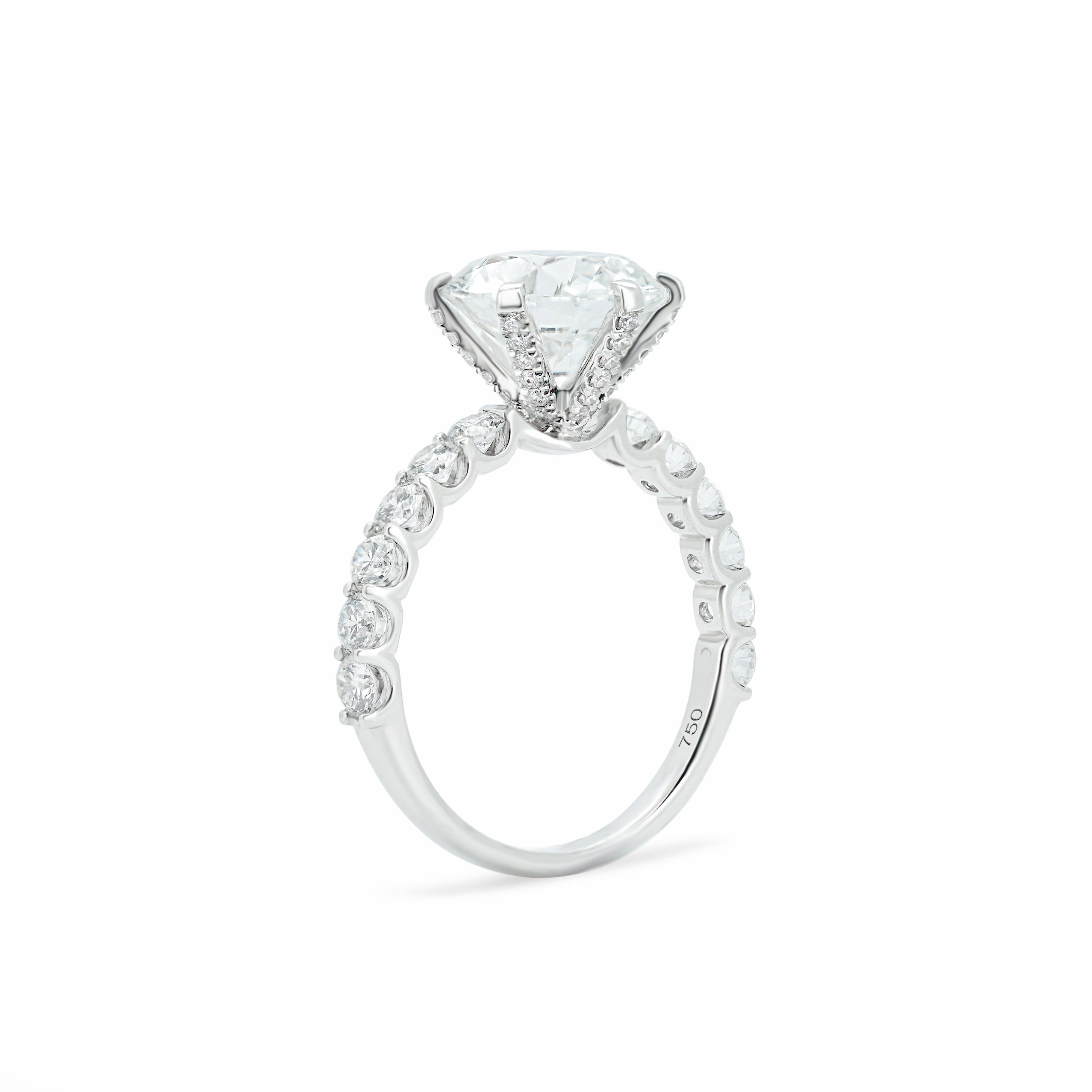 Classic Sol et Terre Diamond Ring | Sol et Terr