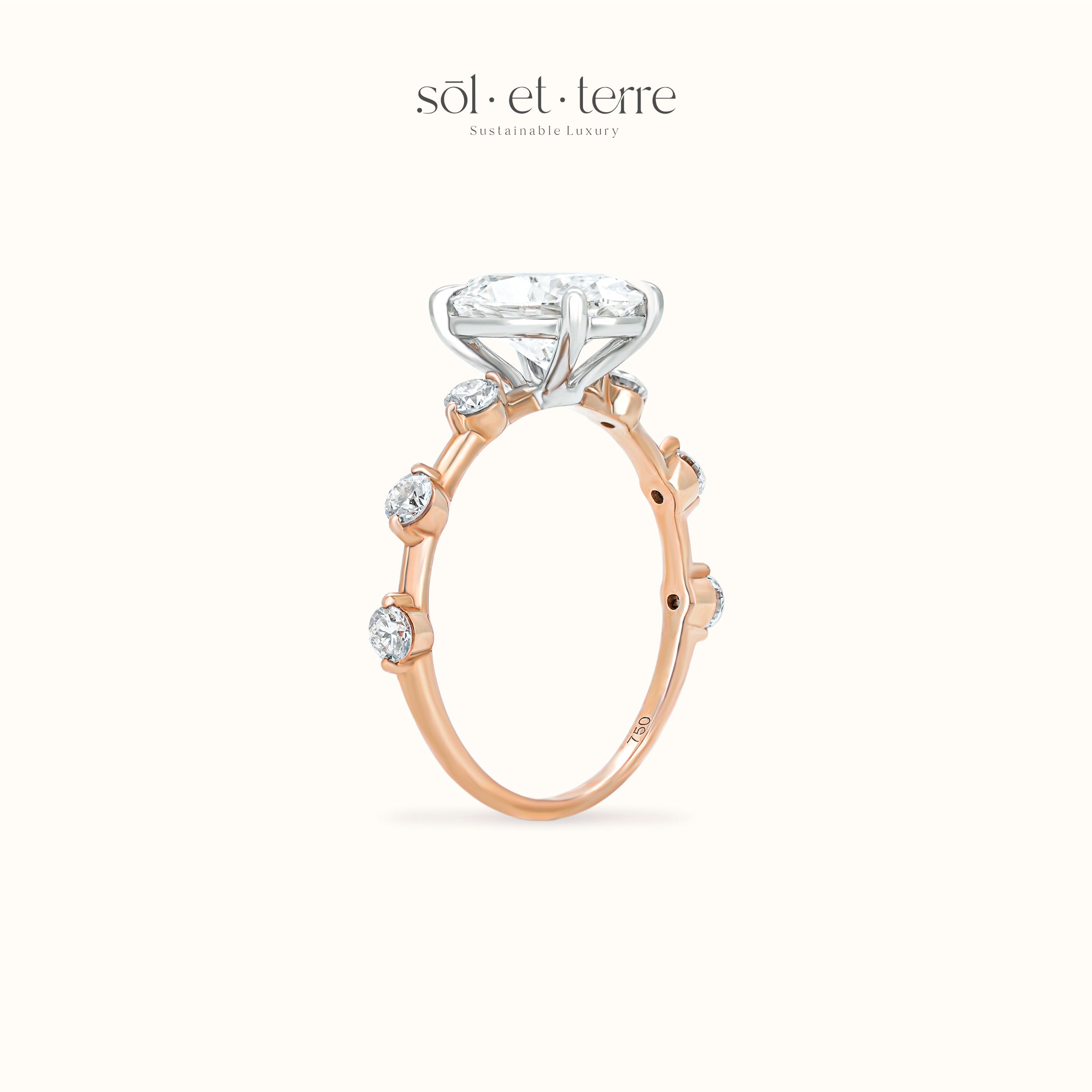 Oval Diamond Ring with Dotted Band | Sol et Terre