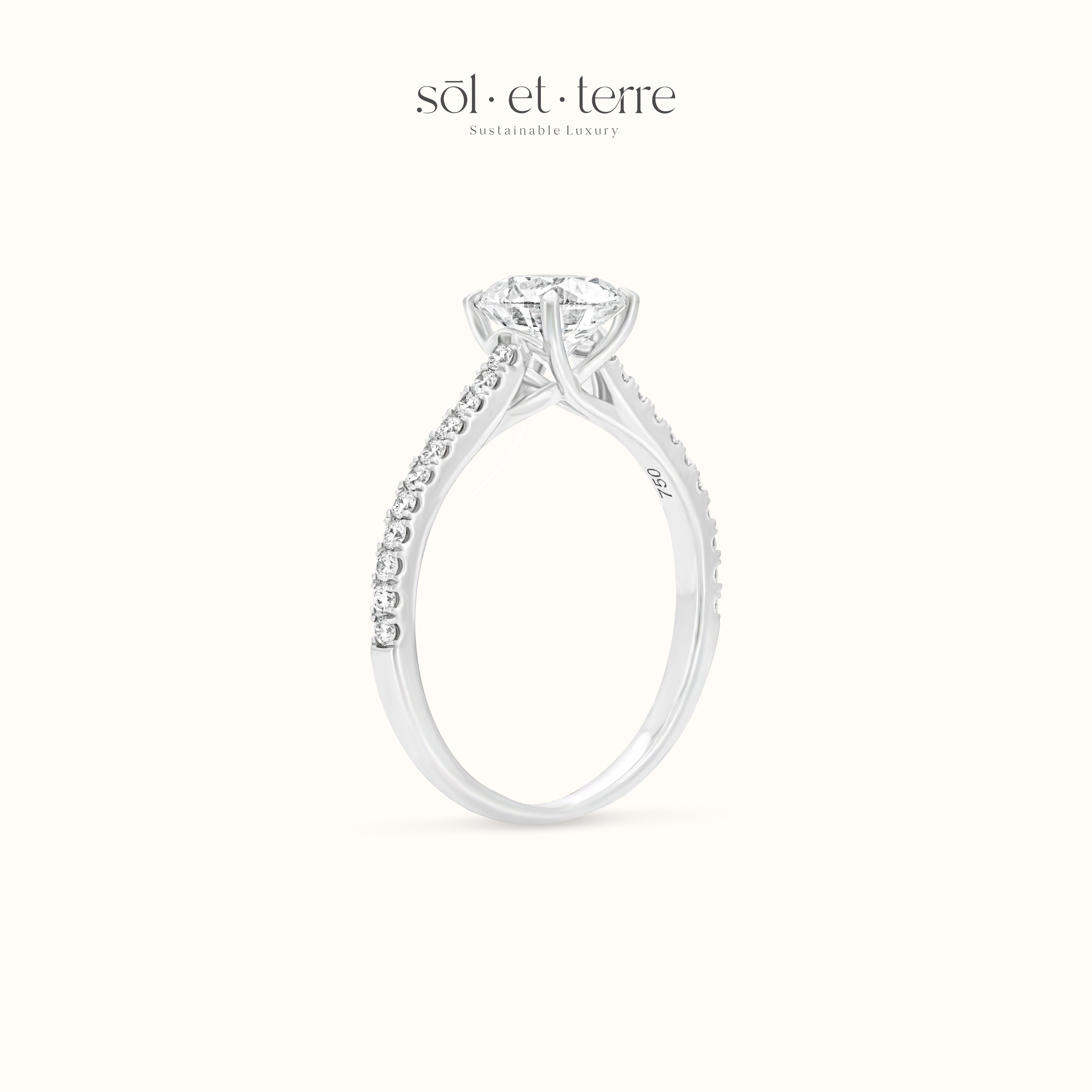Round Diamond Ring with Bridge Pave Diamond | Sol et Terre