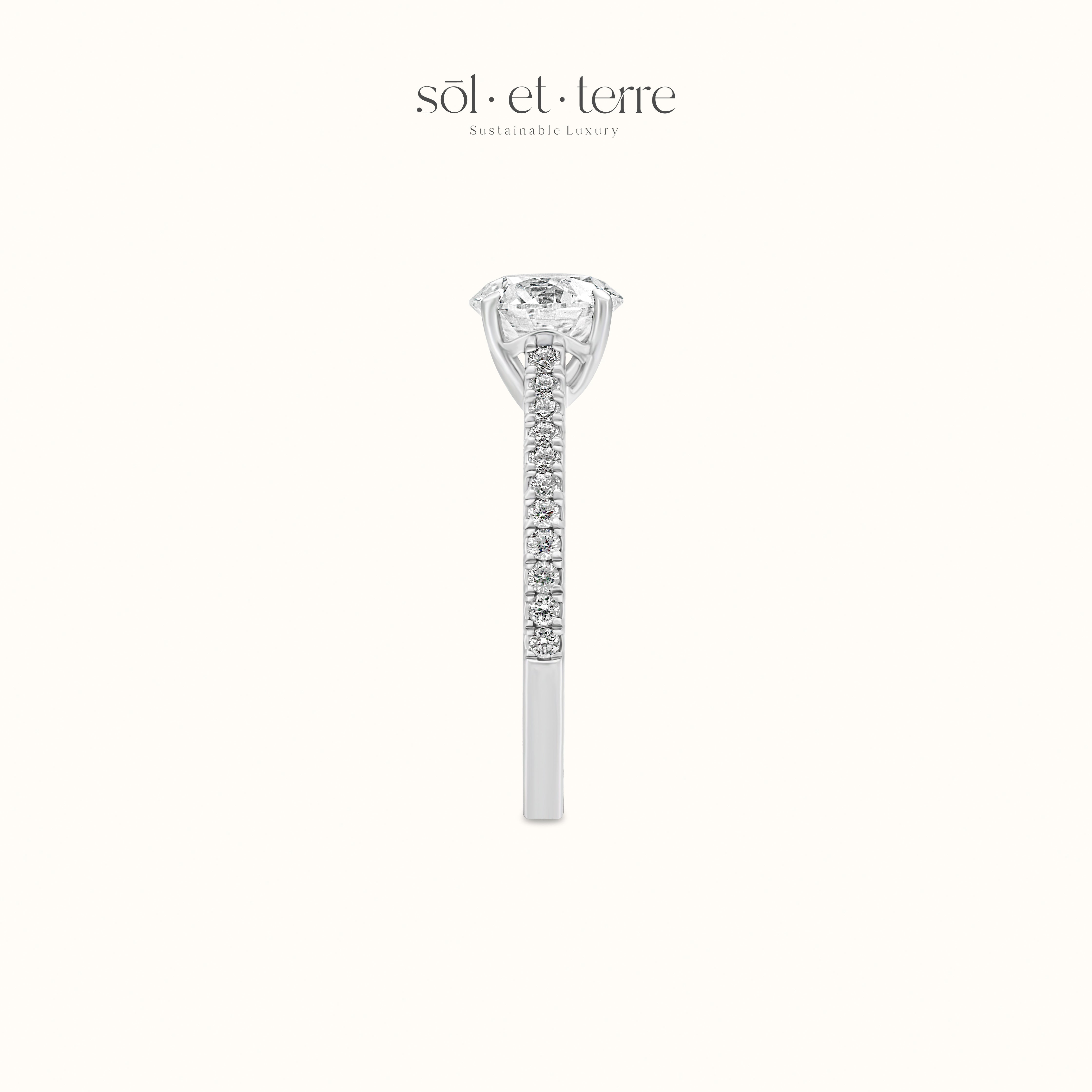 Round Diamond Ring with Bridge Pave Diamond | Sol et Terre