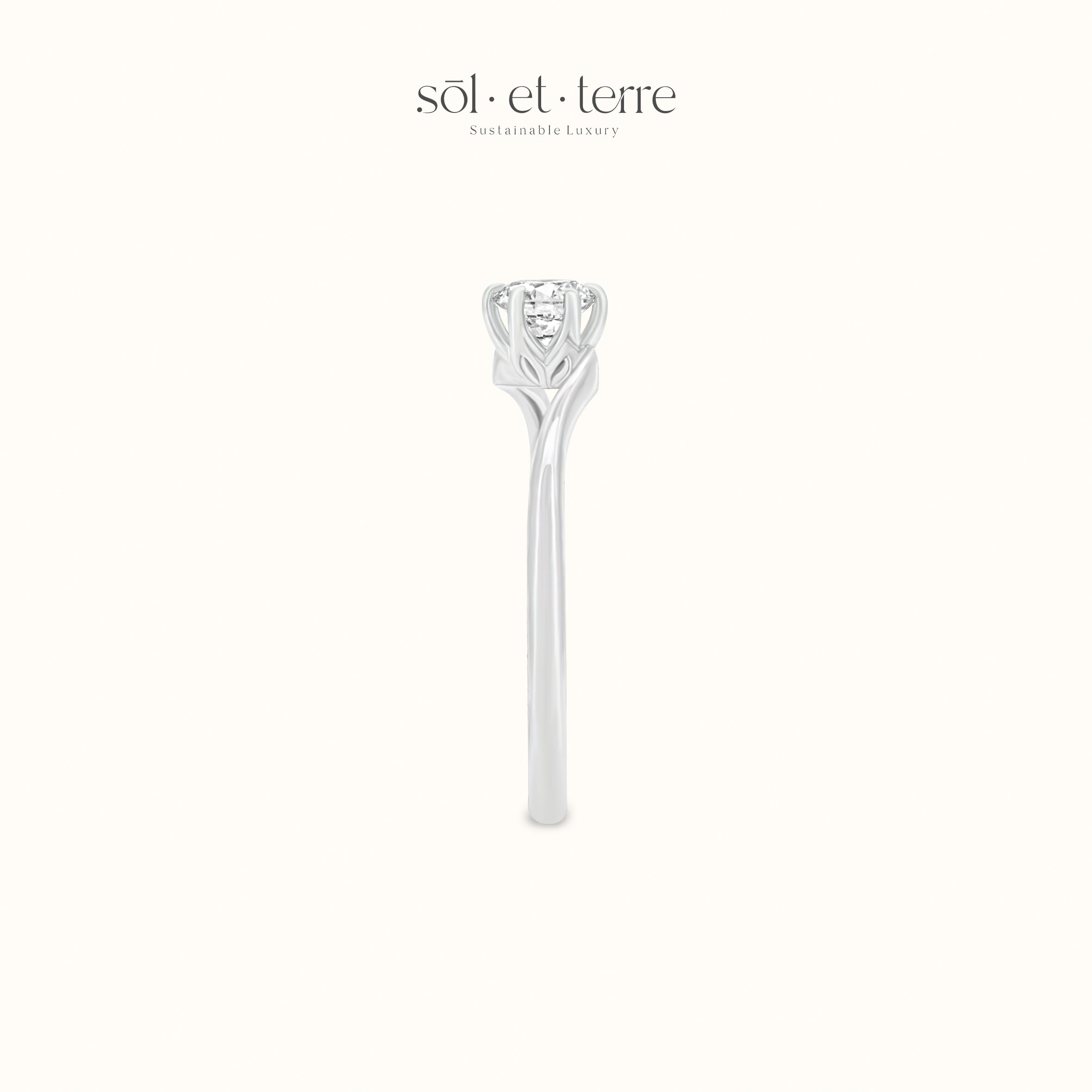 Round Diamond with Twisted Band | Sol et Terre