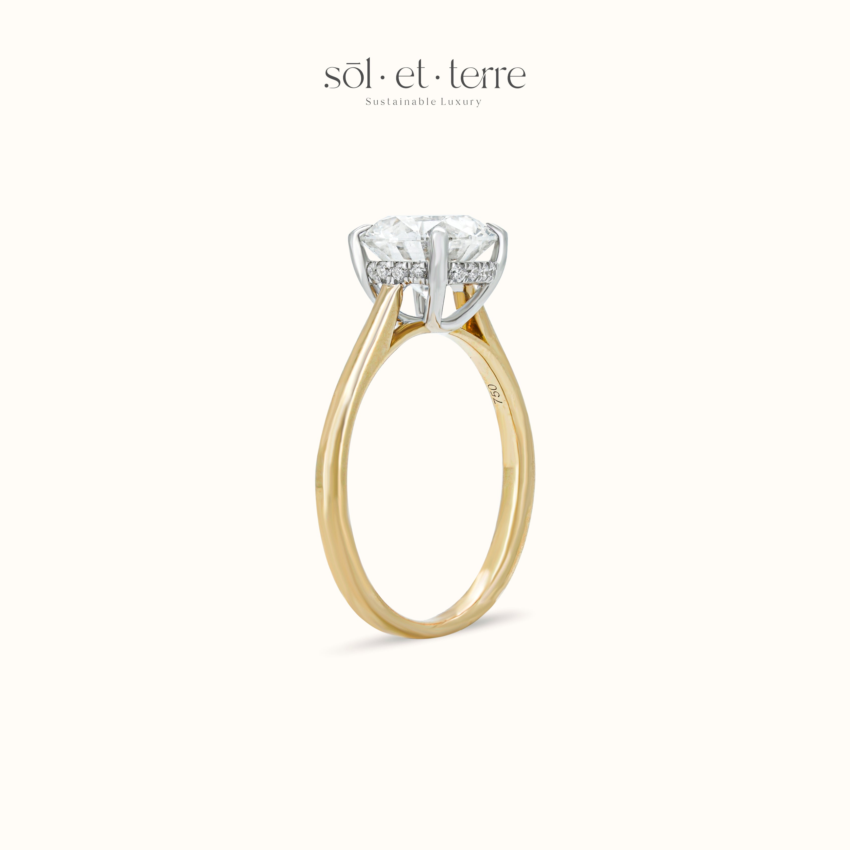 Round Diamond Ring with Hidden Halo | Sol et Terre