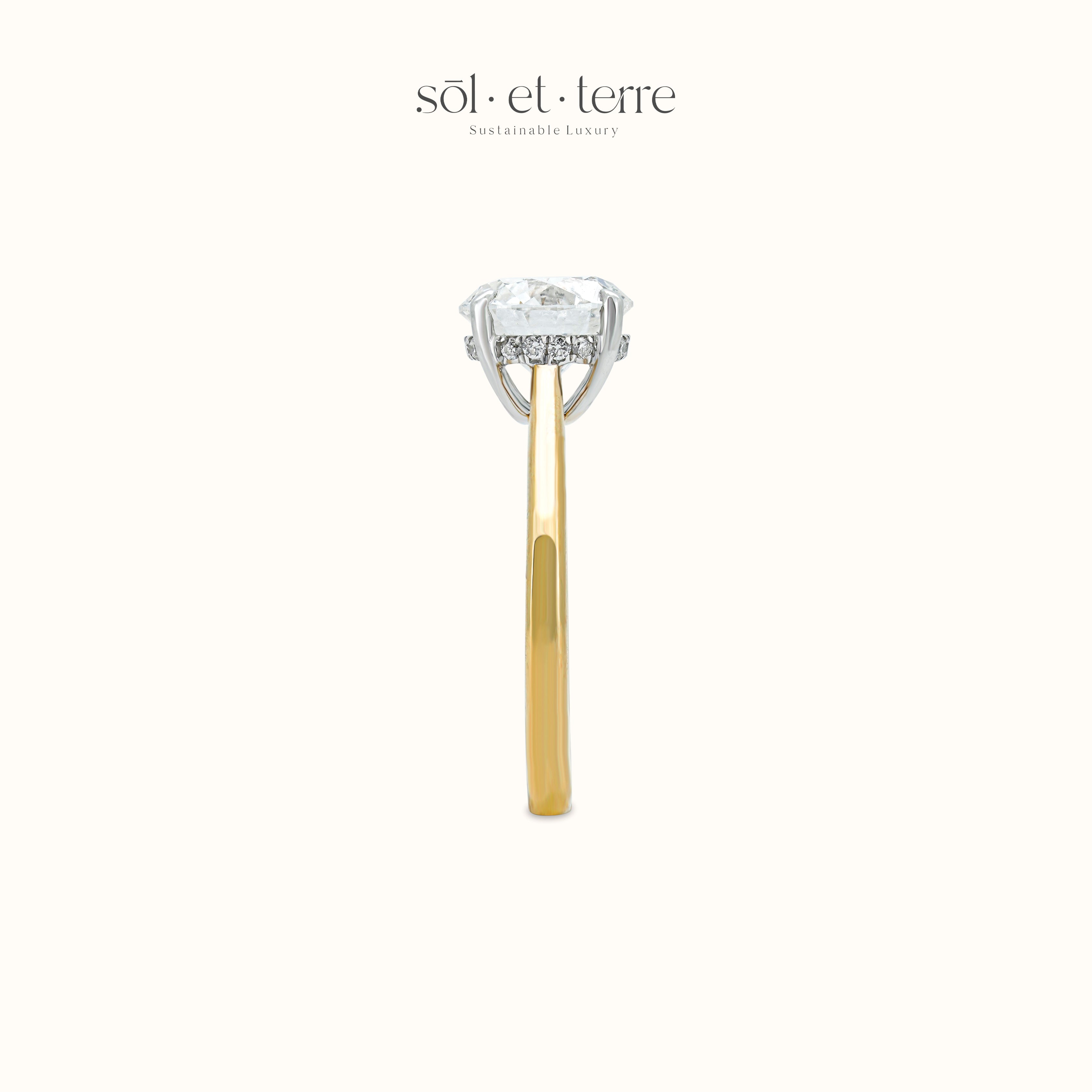 Round Diamond Ring with Hidden Halo | Sol et Terre