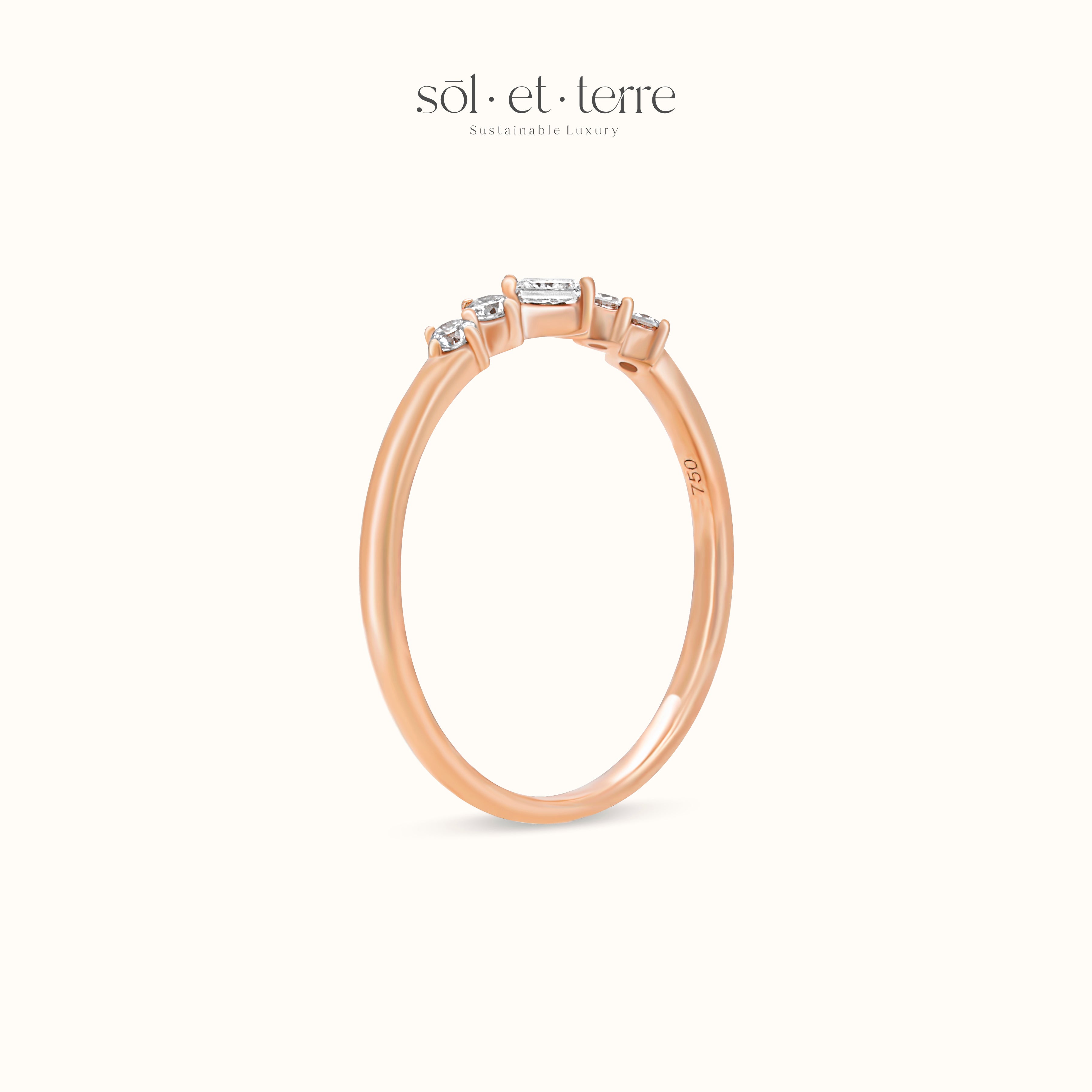 Dotted Band | Sol et Terre