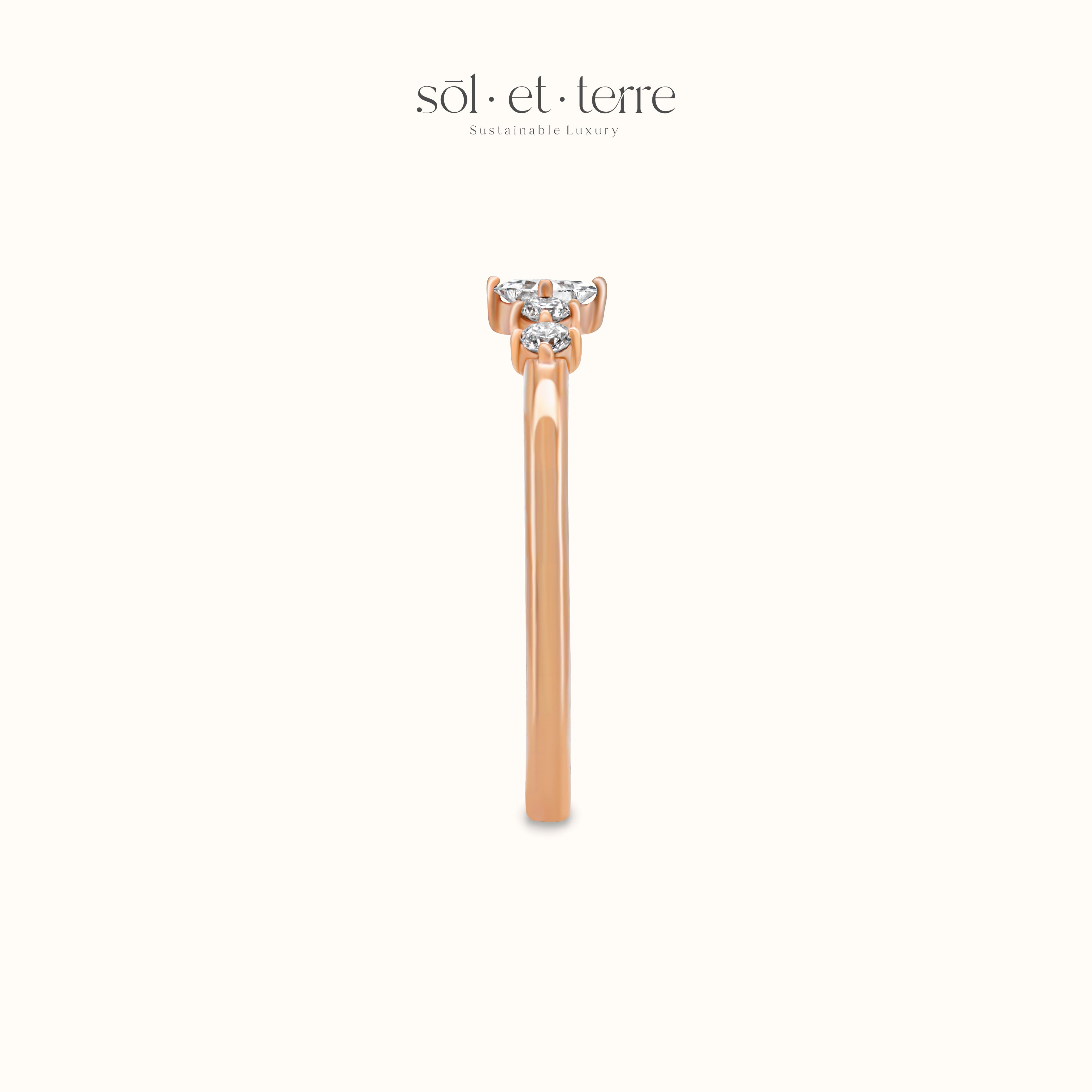 Dotted Band | Sol et Terre