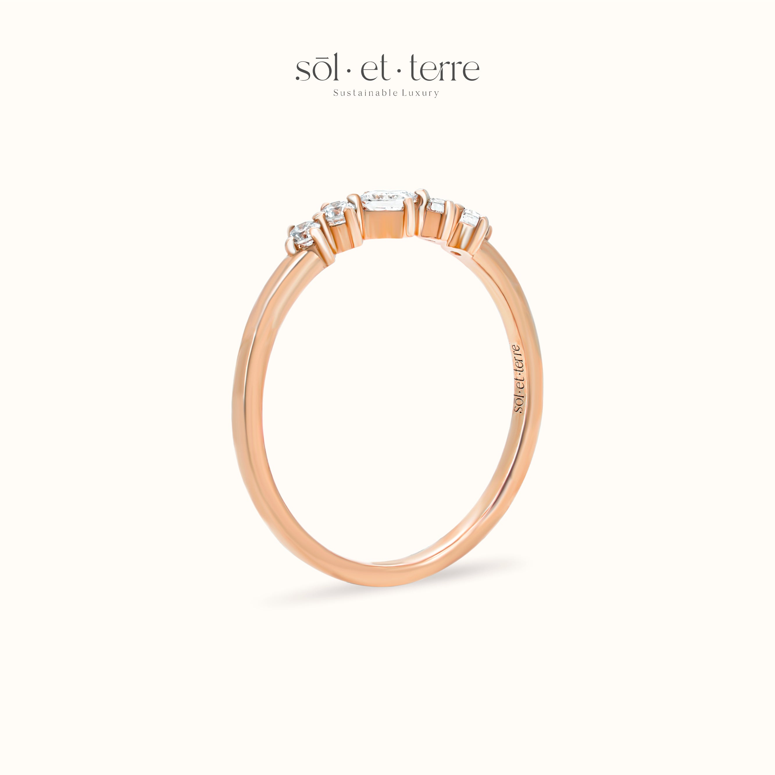 Dotted Band | Sol et Terre