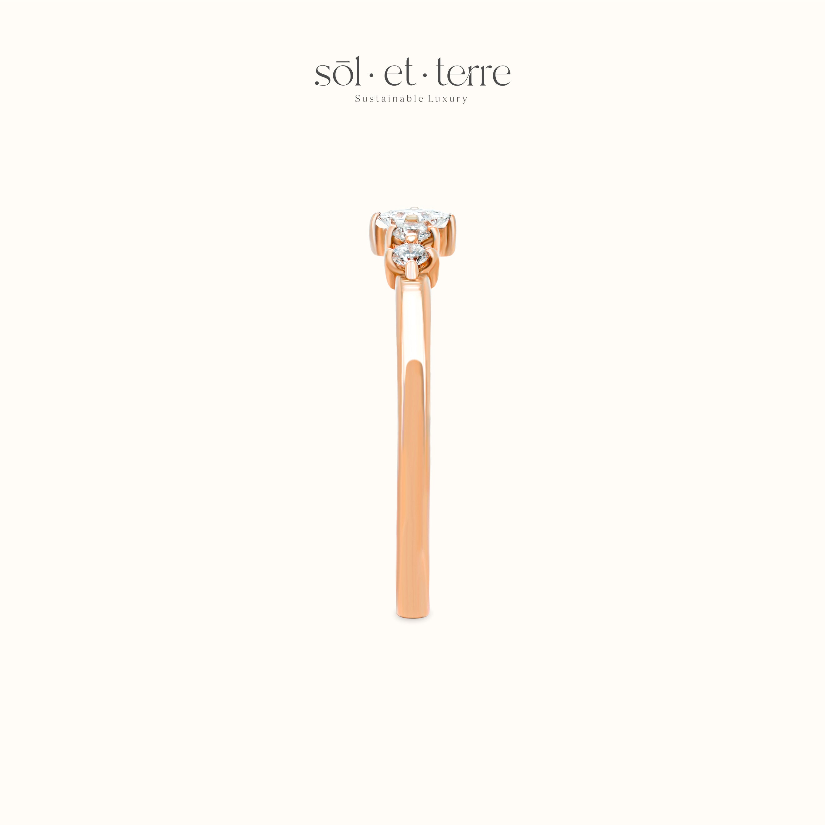 Dotted Band | Sol et Terre