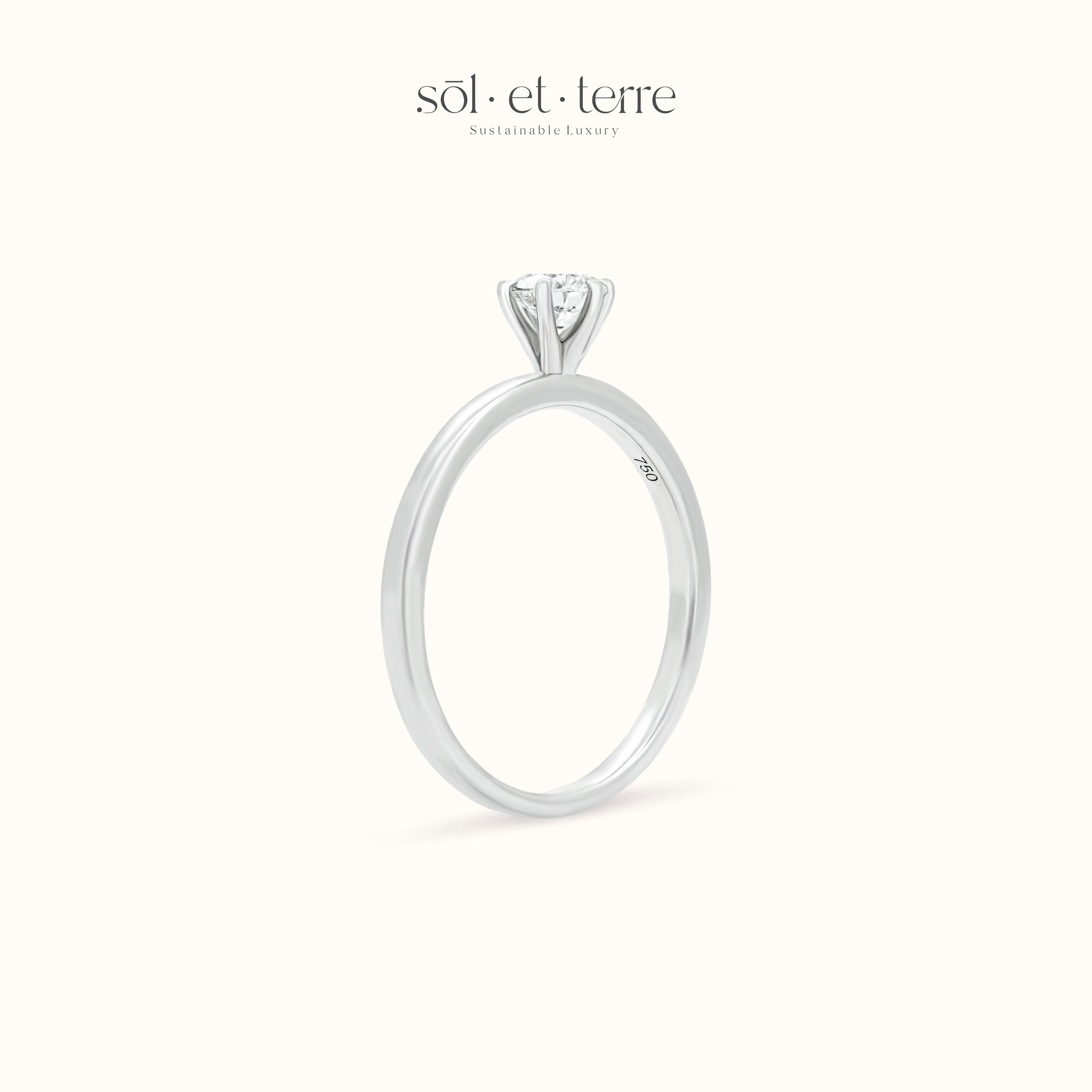 Round Diamond With Six Prong | Sol et Terre