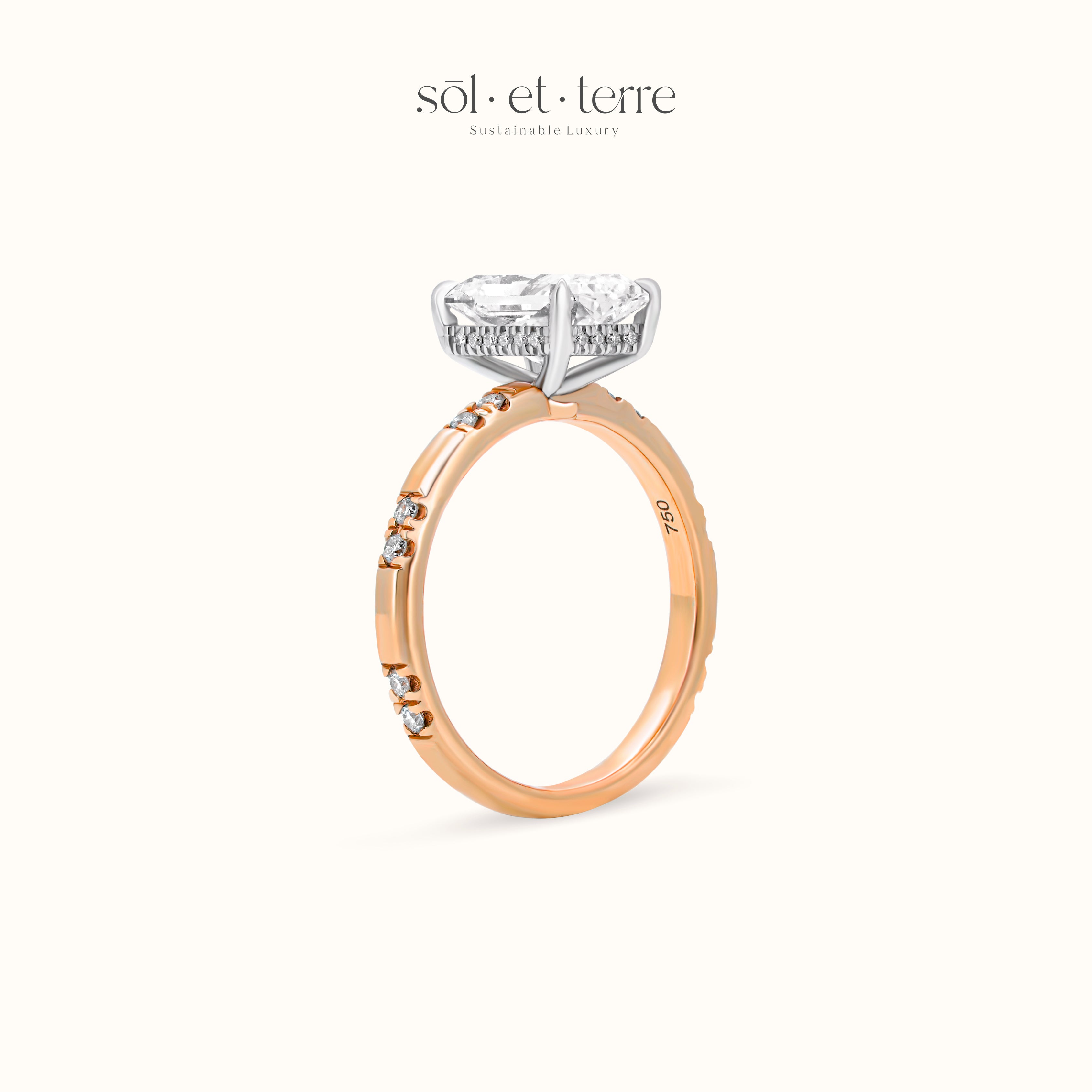 Radiant Diamond with Dotted Pave Band | Sol et Terre