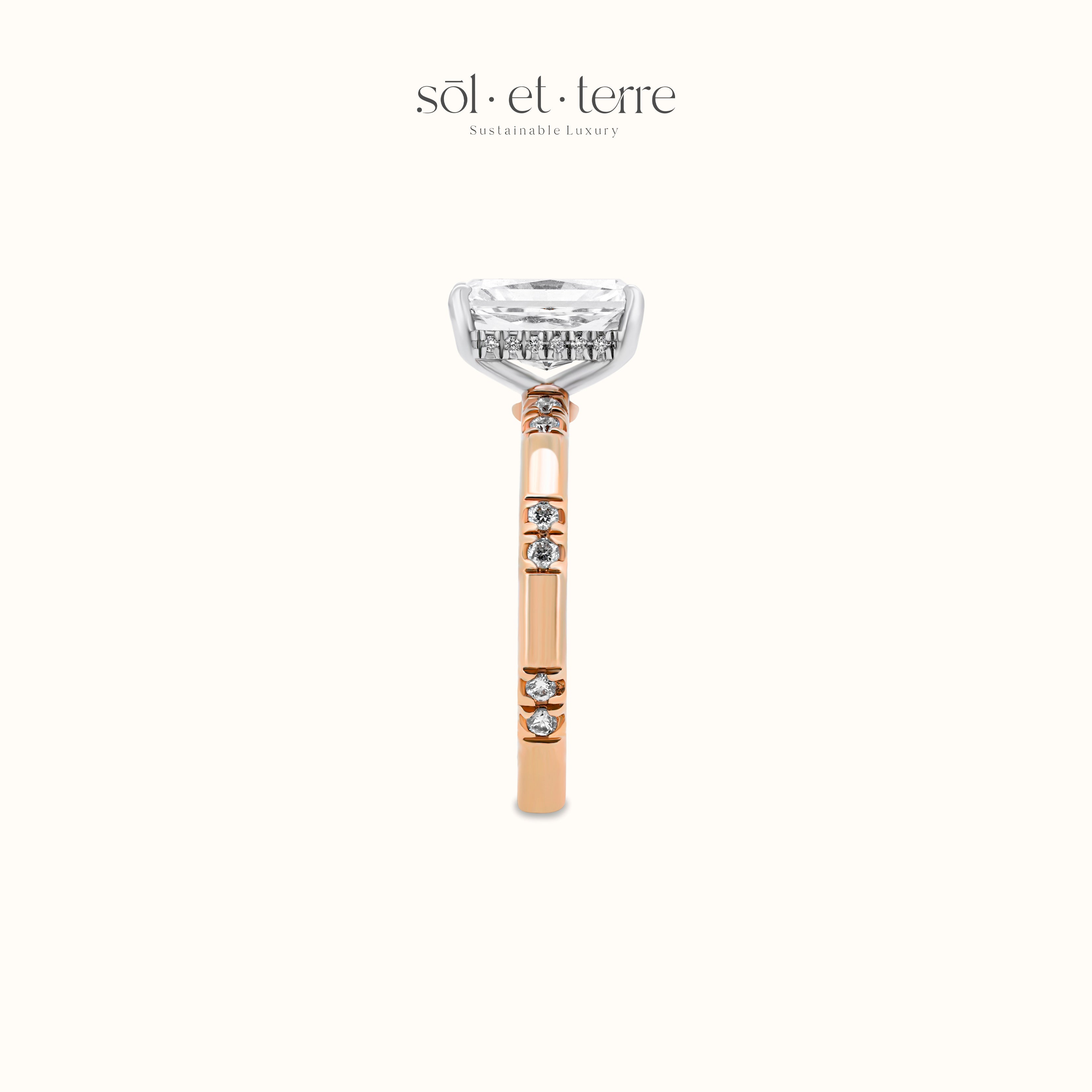 Radiant Diamond with Dotted Pave Band | Sol et Terre