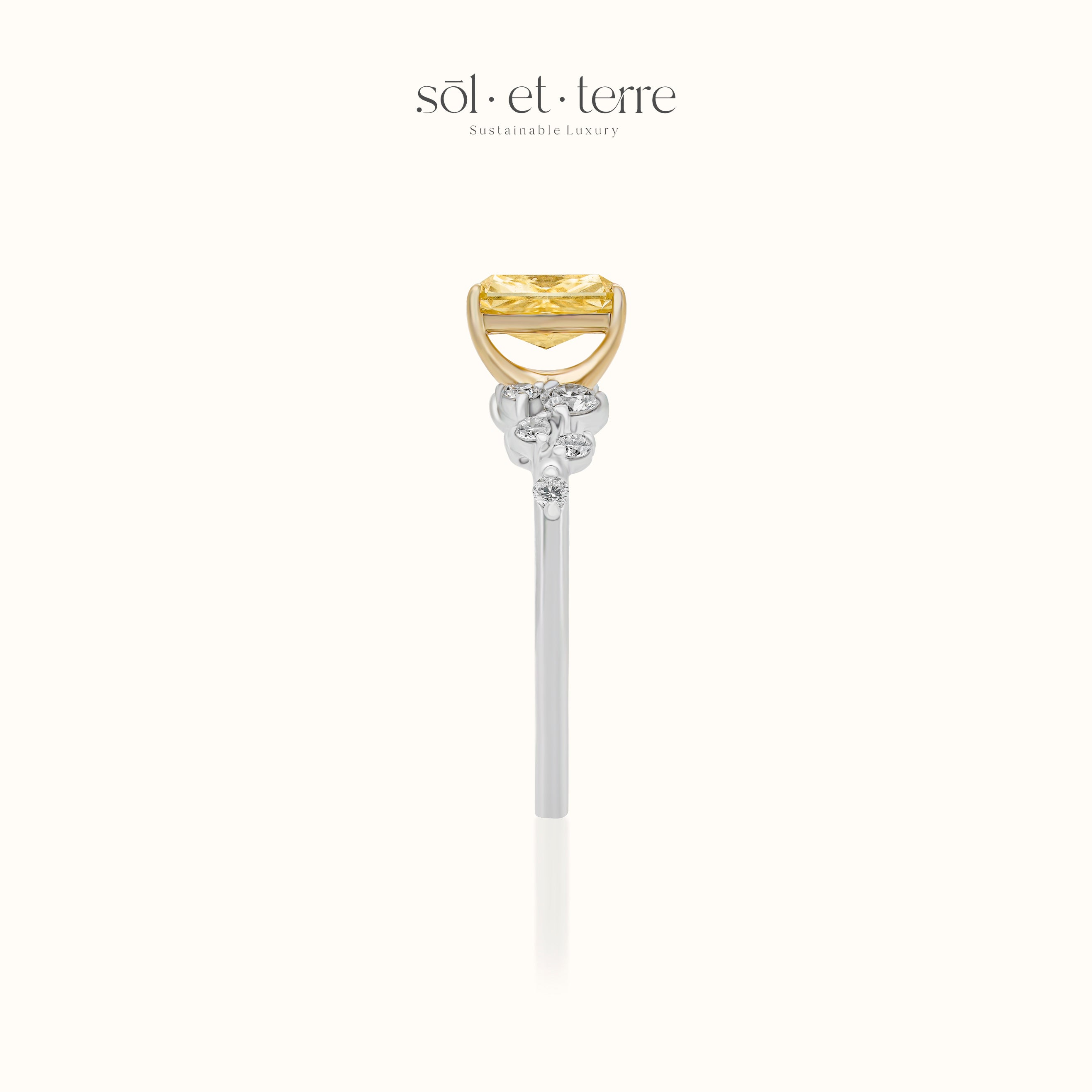 Stardust Soleil Ring | Sol et Terre