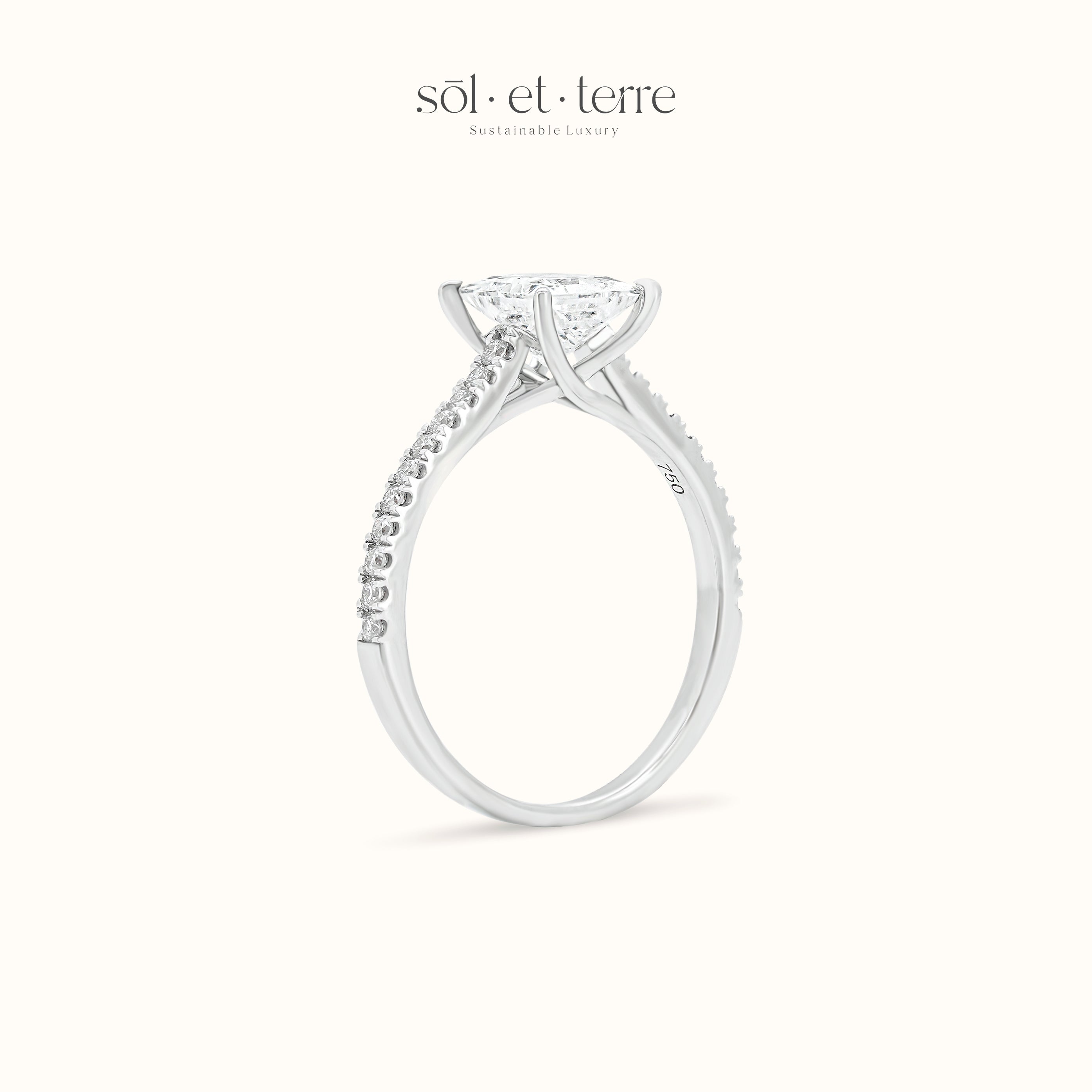 Princess Diamond with Crossed Prong and Bridge Pave Diamond | Sol et Terre