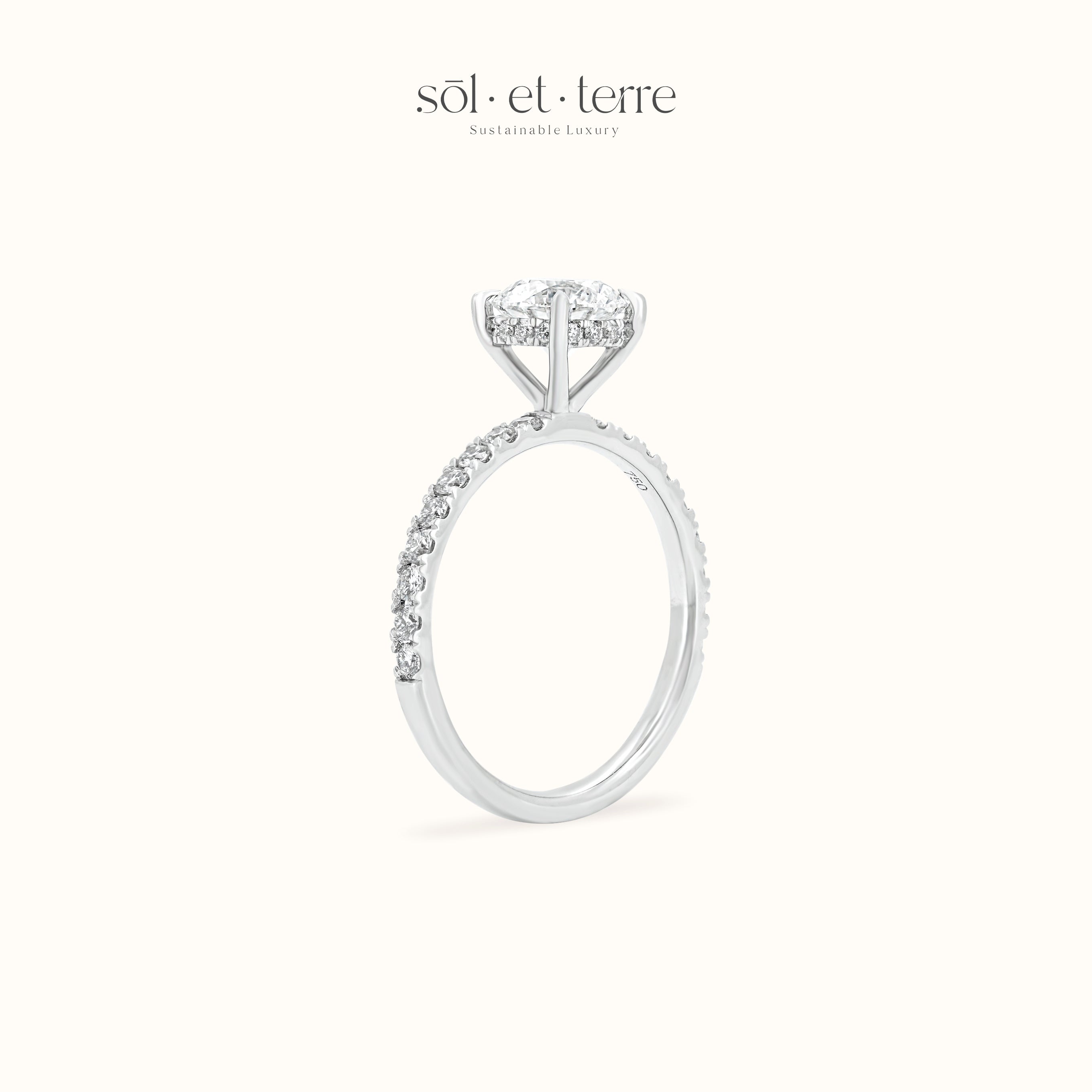 Round Diamond with Hidden Halo and Pave | Sol et Terre