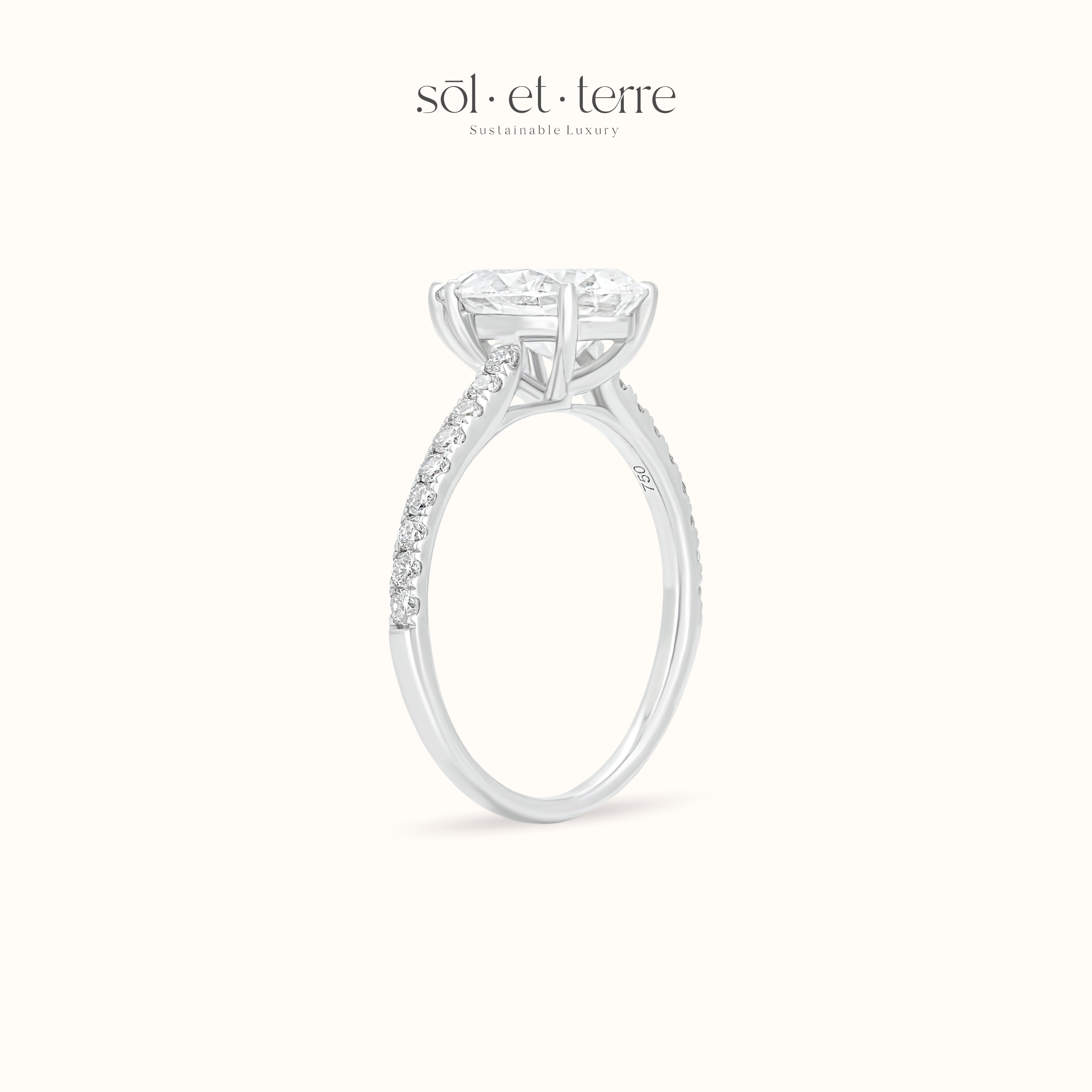 Pear Diamond Ring with Pave Band | Sol et Terre