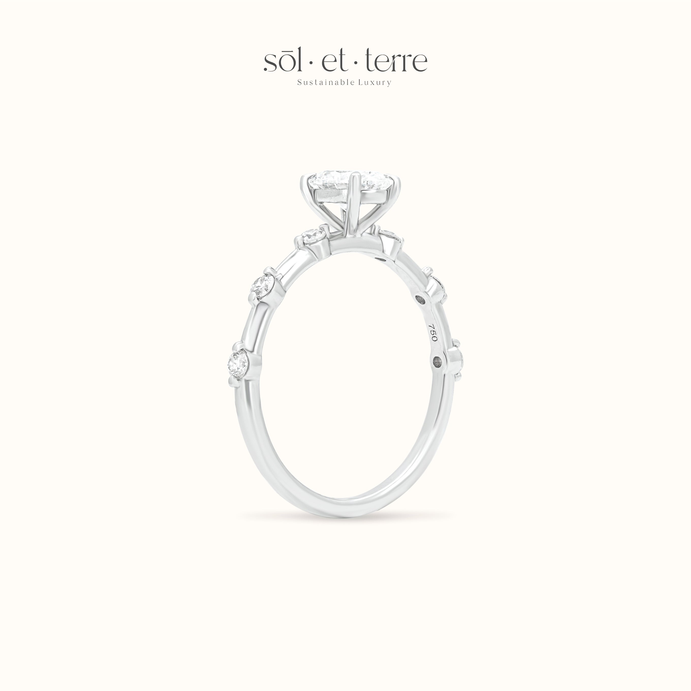 Oval Diamond Ring With Dotted Band White Gold | Sol et Terre