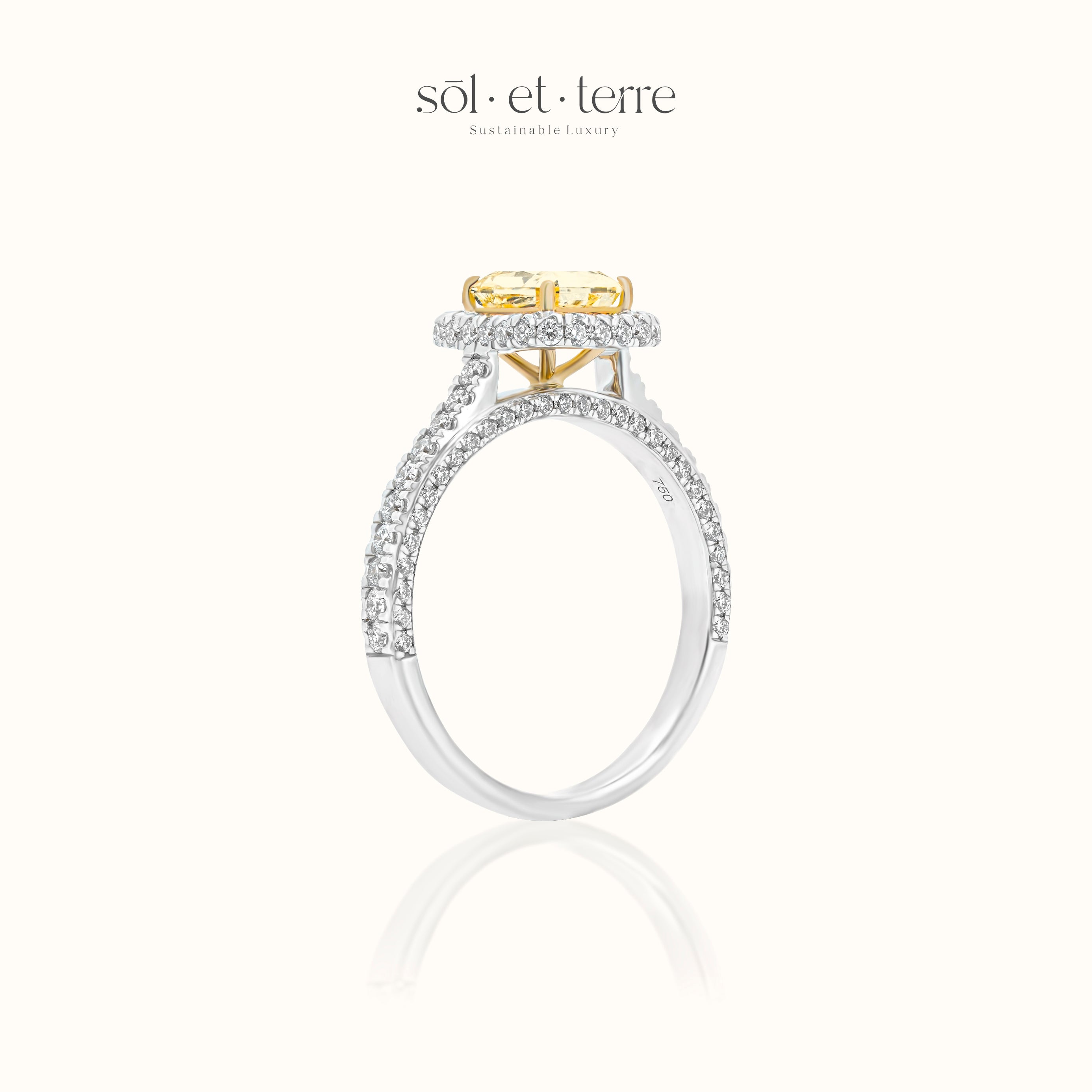 Stellar Radiance Diamond ring | Sol et Terre