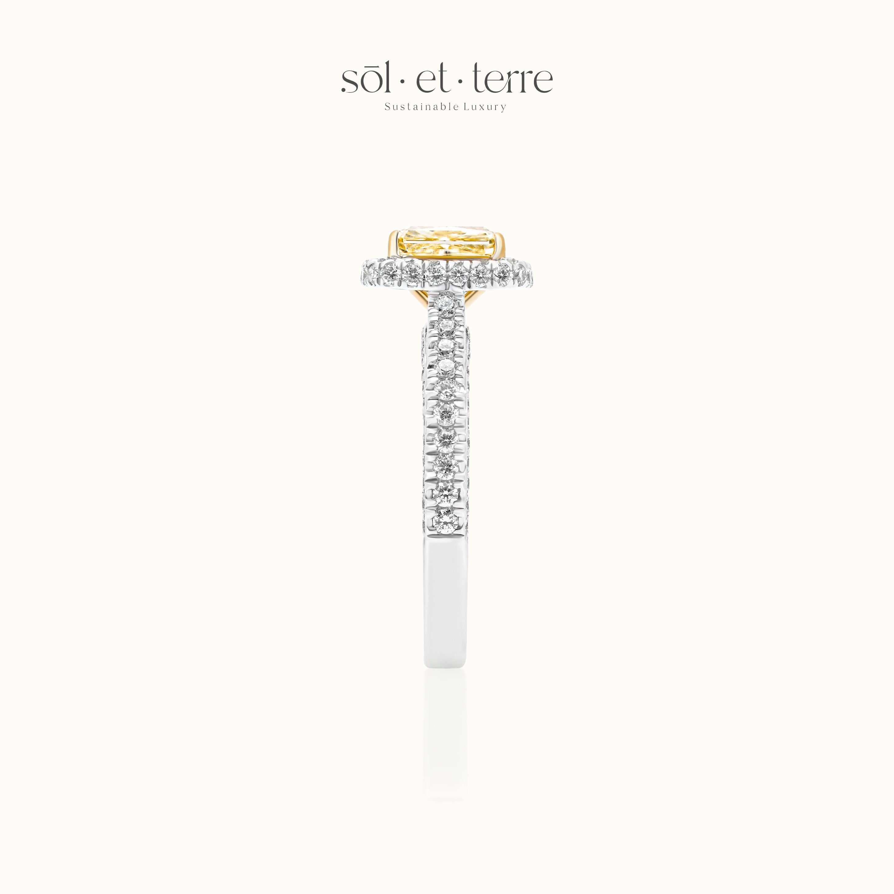 Stellar Radiance Diamond ring | Sol et Terre