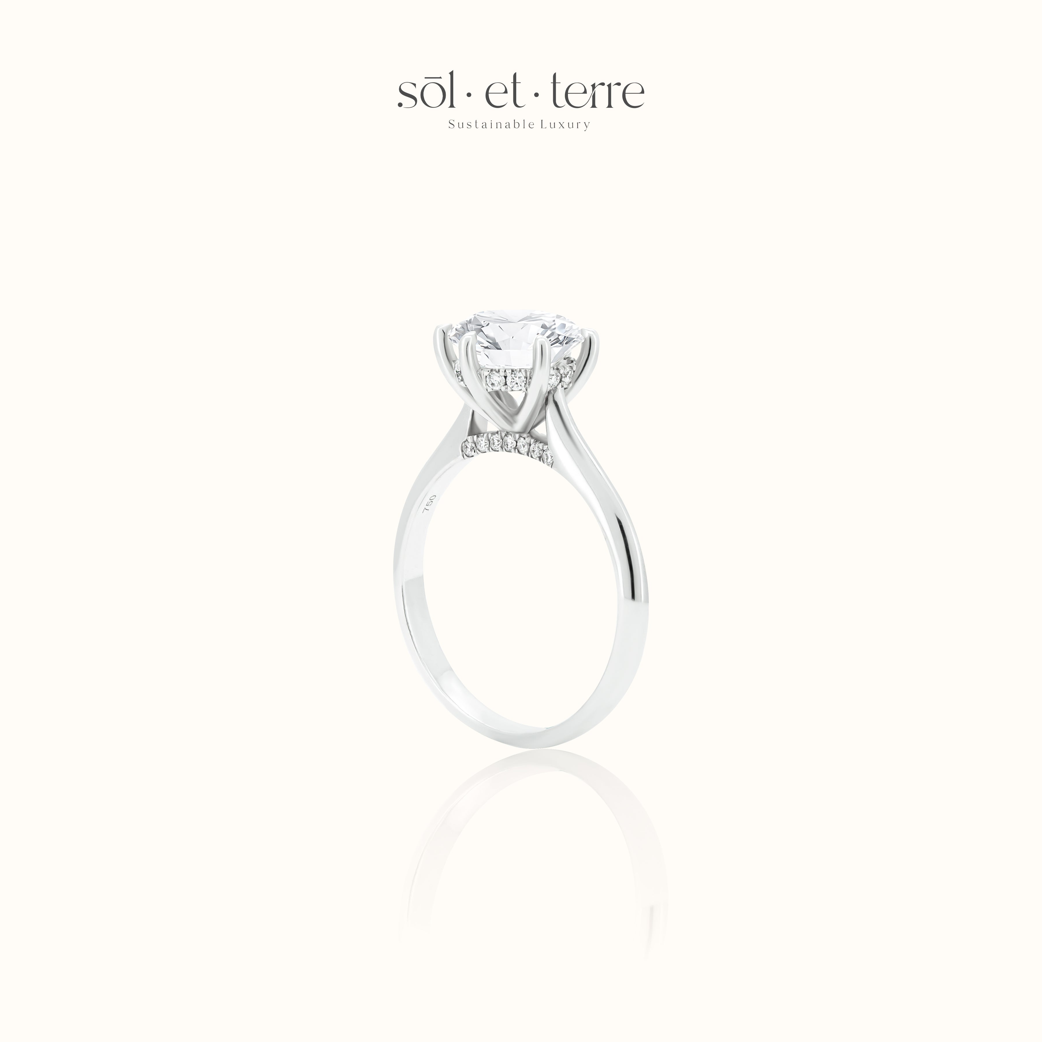 Round Diamond with Six Prong  Cathedral | Sol et Terre