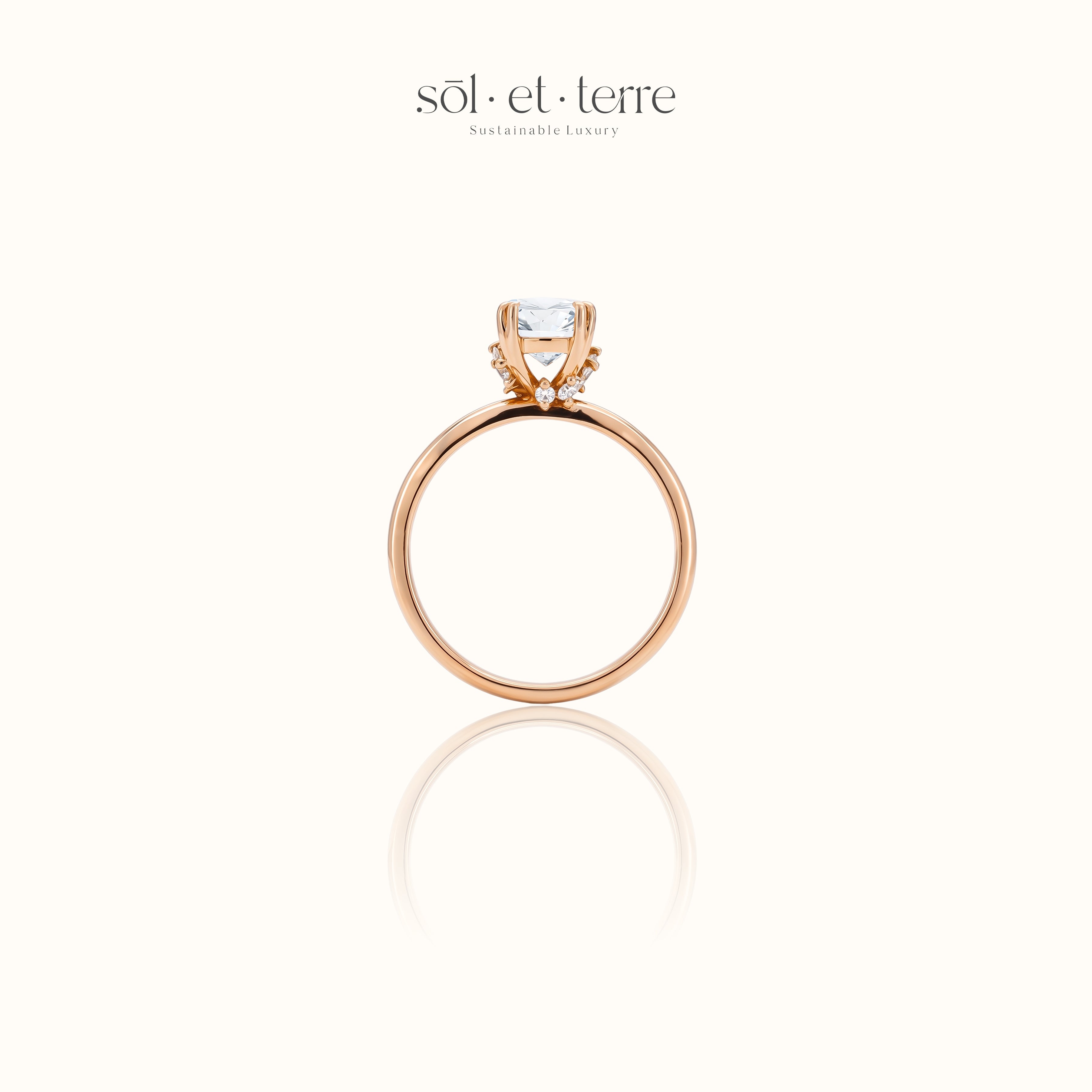 Cushion Diamond on Stardust Prong | Sol et Terre