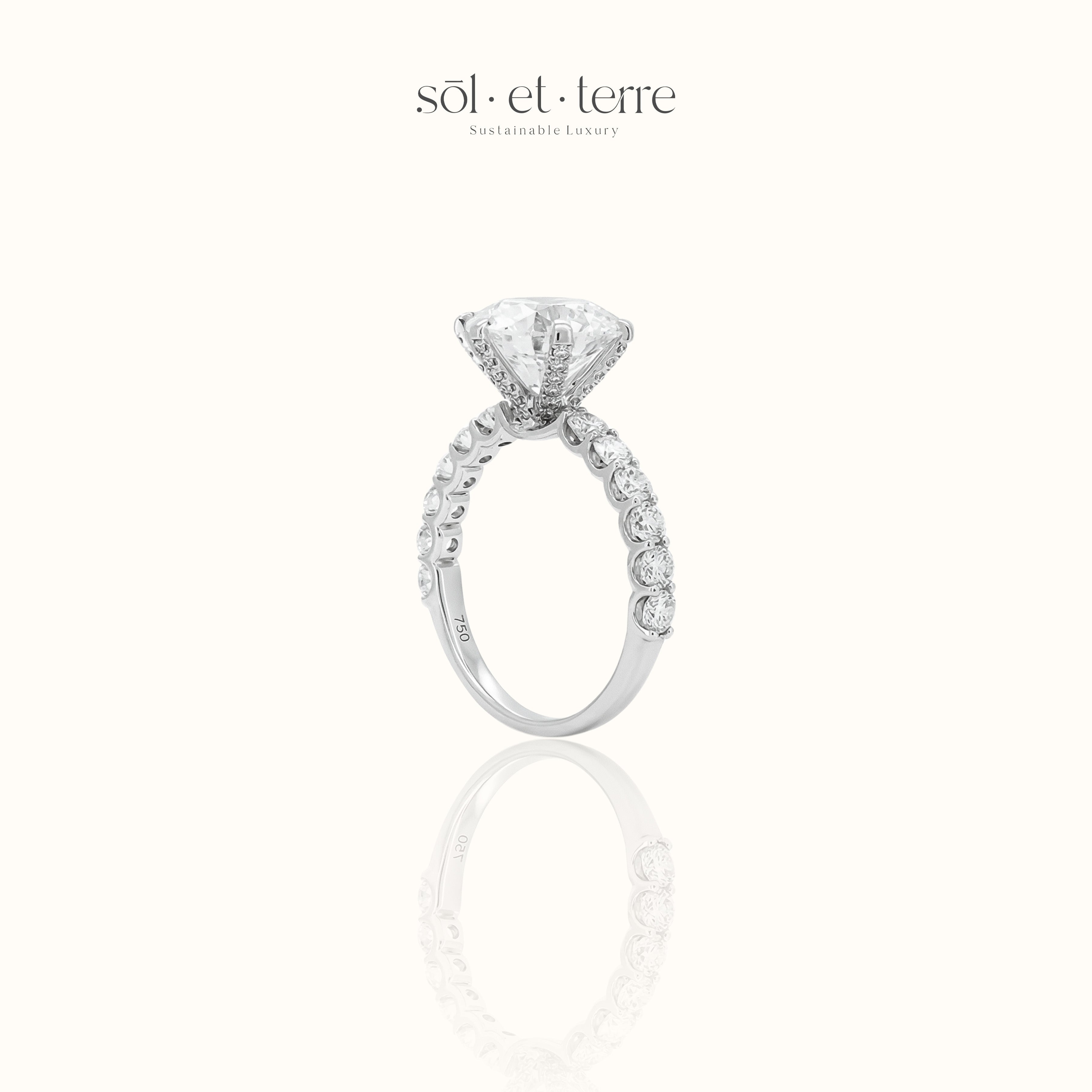 Classic Sol et Terre Diamond Ring | Sol et Terre