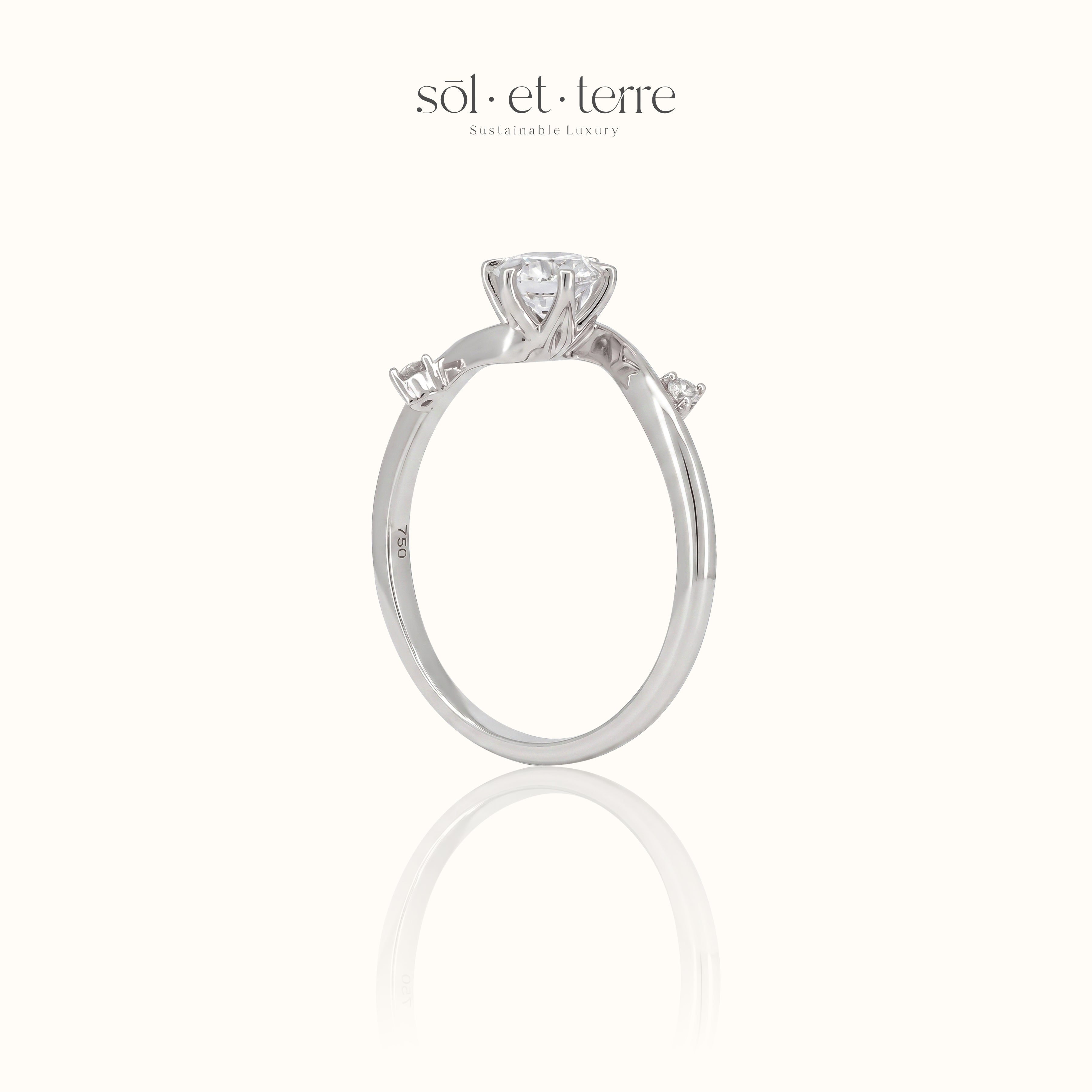 Round Diamond with round dotted twisted band | Sol et Terre