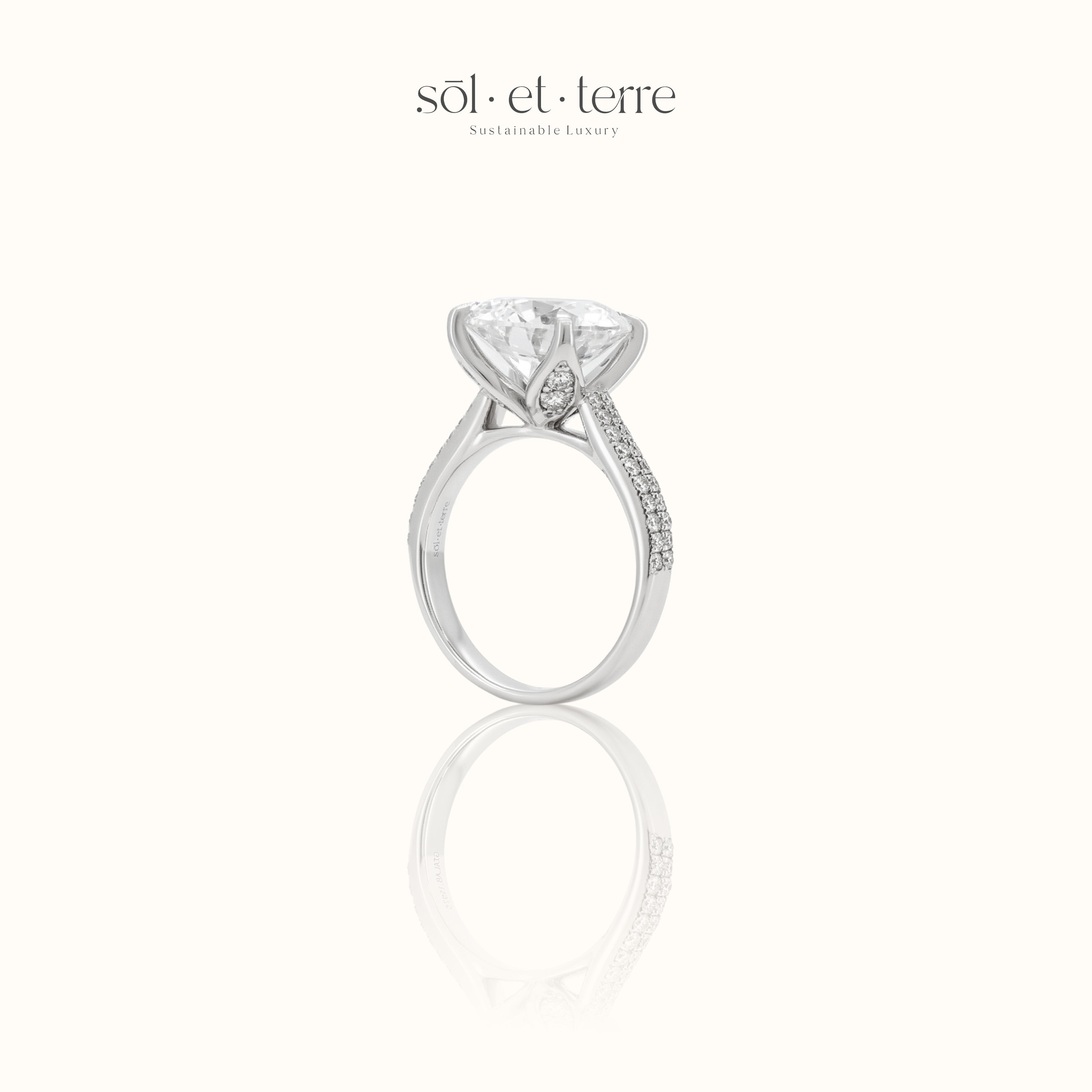 Round Diamond Ring with Dual Band and Petal Prong | Sol et Terre