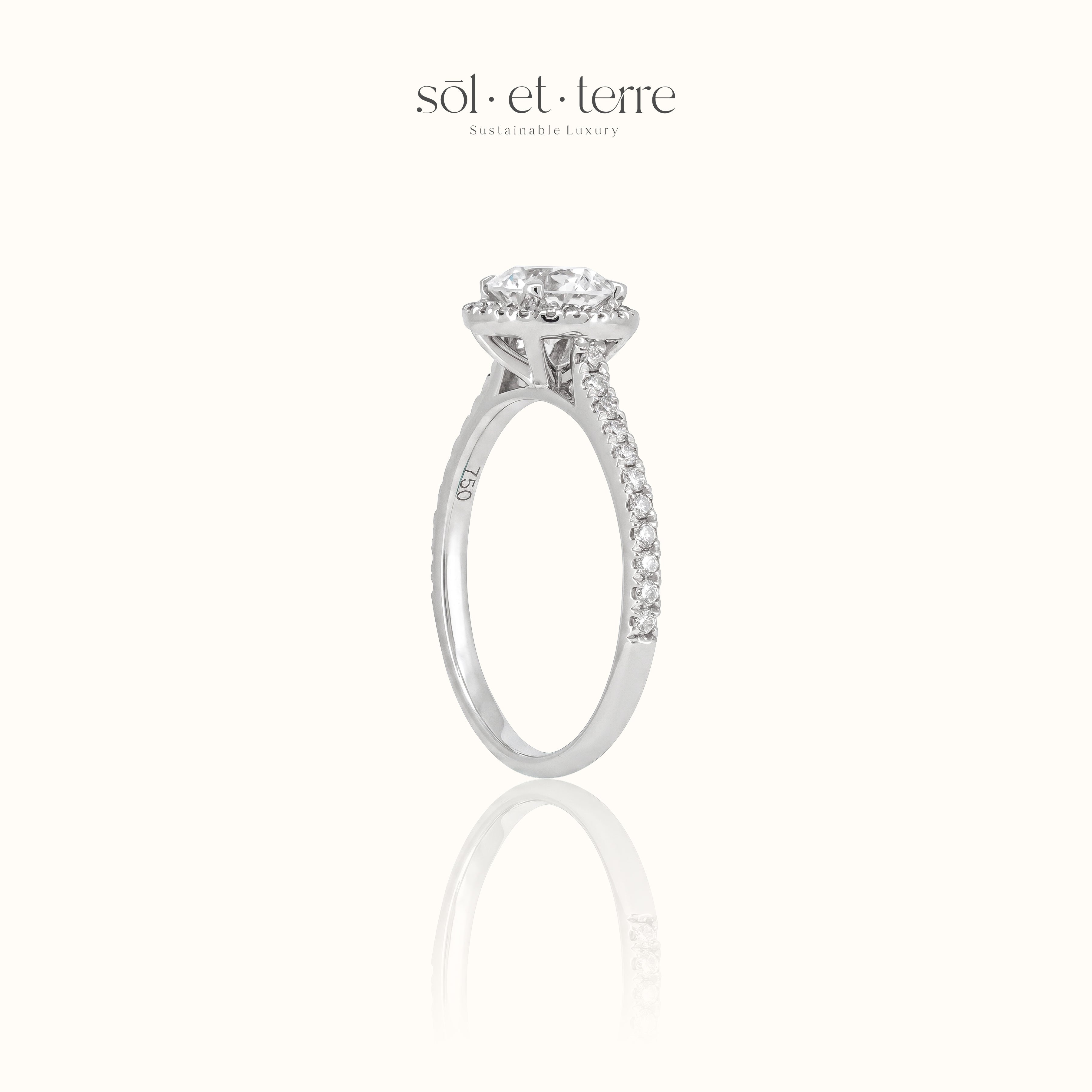 Round Diamond with Halo | Sol et Terre