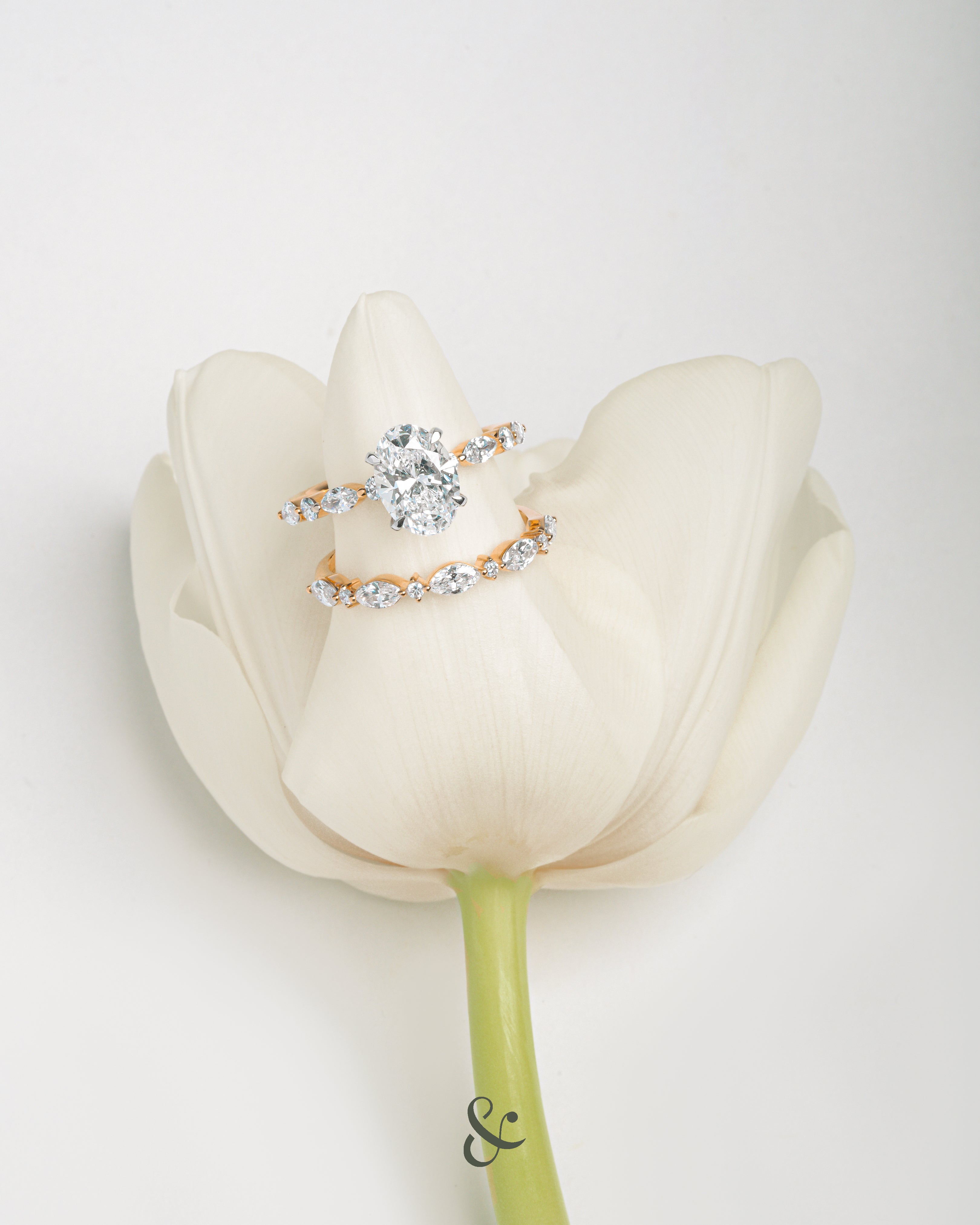 Two diamond rings on a white tulip against a light gray background